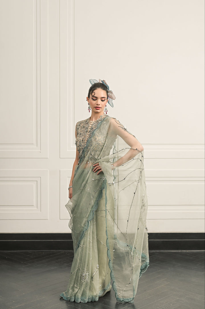 Elysian saree and blouse set
