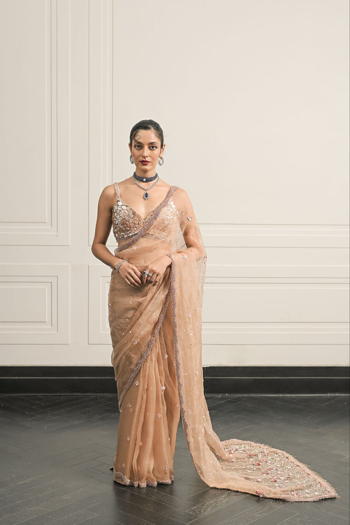 Regal Rosette saree and blouse set