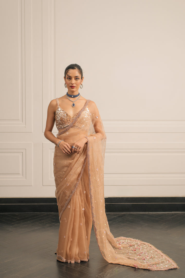 Regal Rosette saree and blouse set