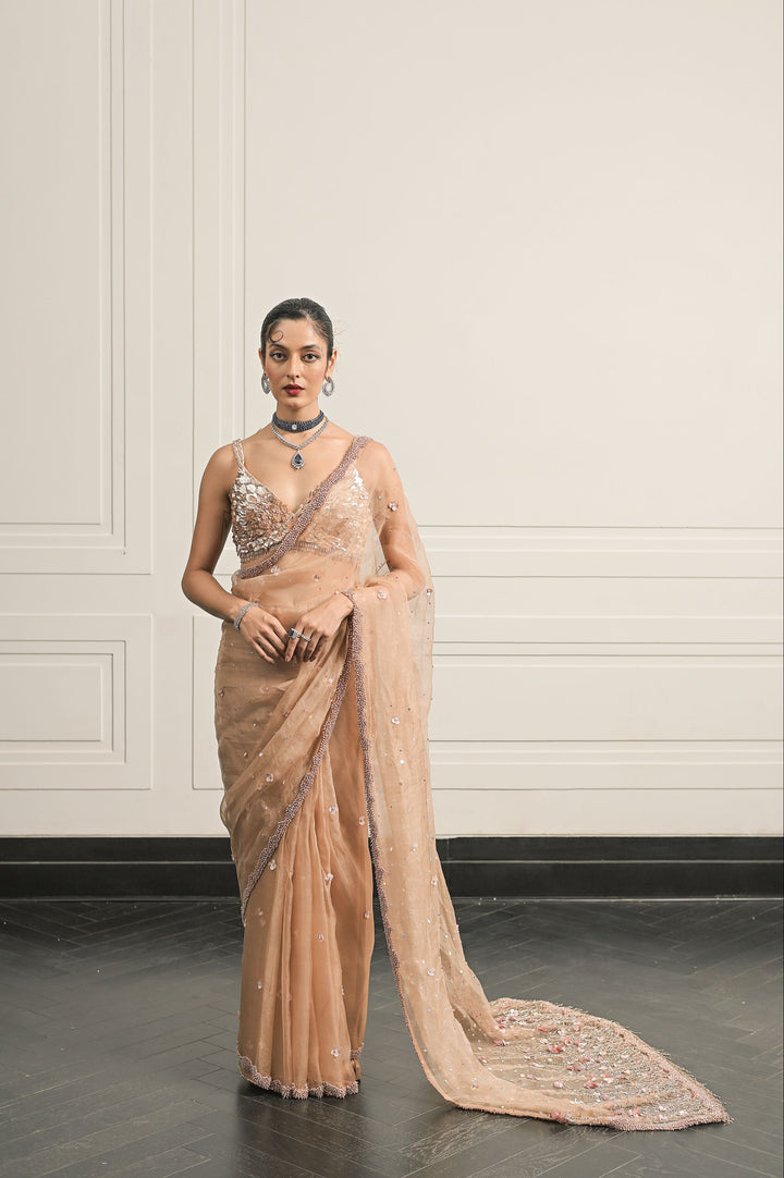 Regal Rosette saree and blouse set