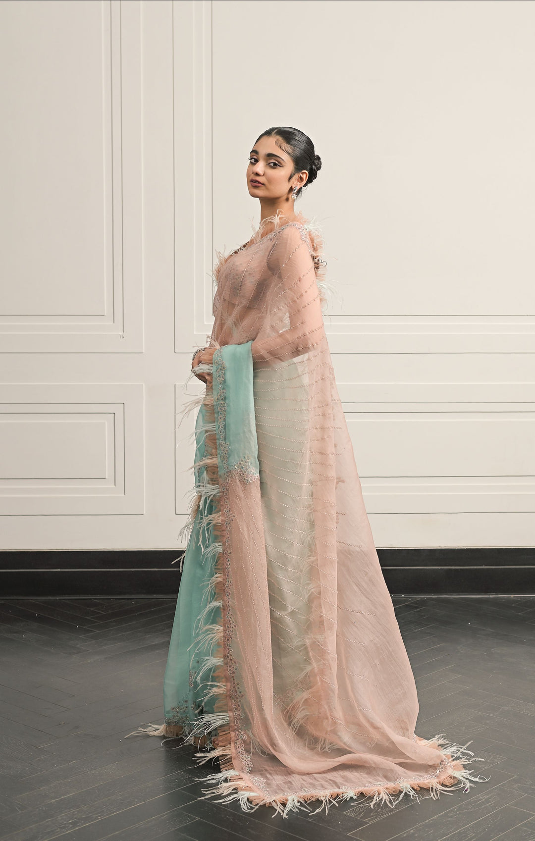 Eleanor saree and blouse set