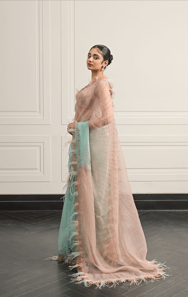 Eleanor saree and blouse set