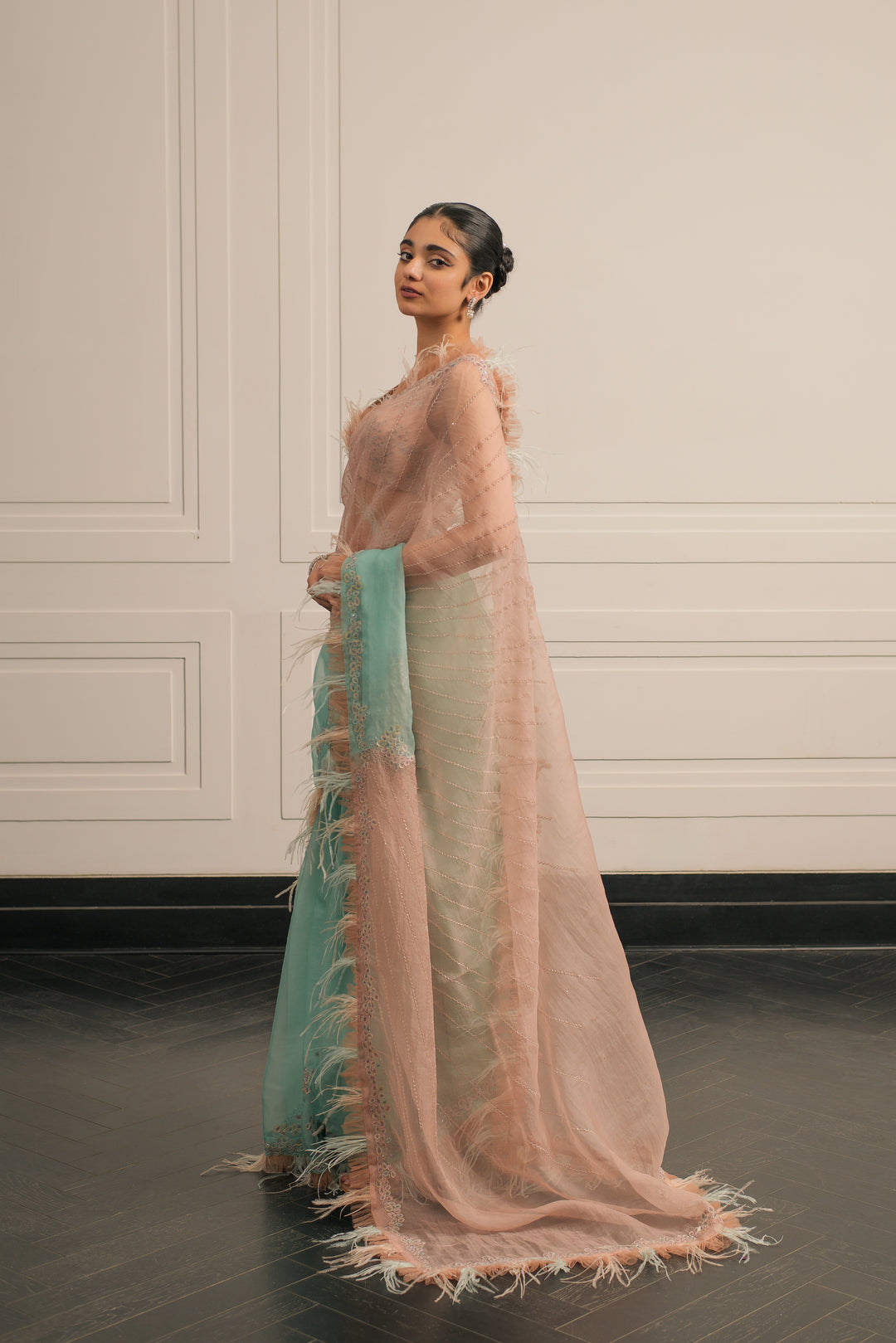 Eleanor saree and blouse set