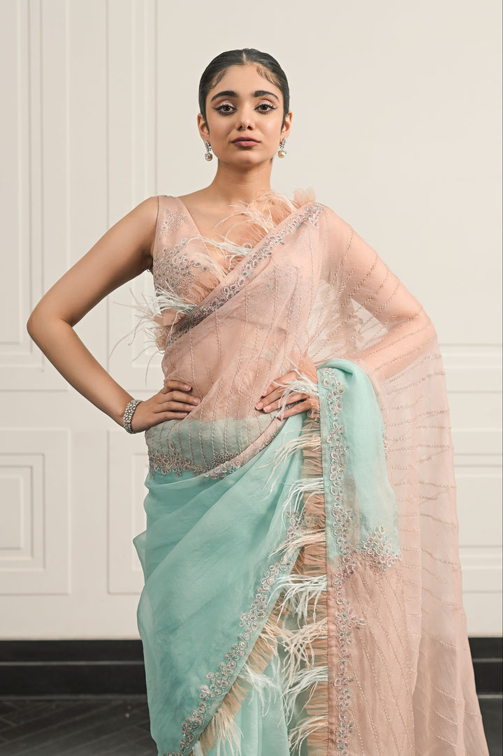 Eleanor saree and blouse set