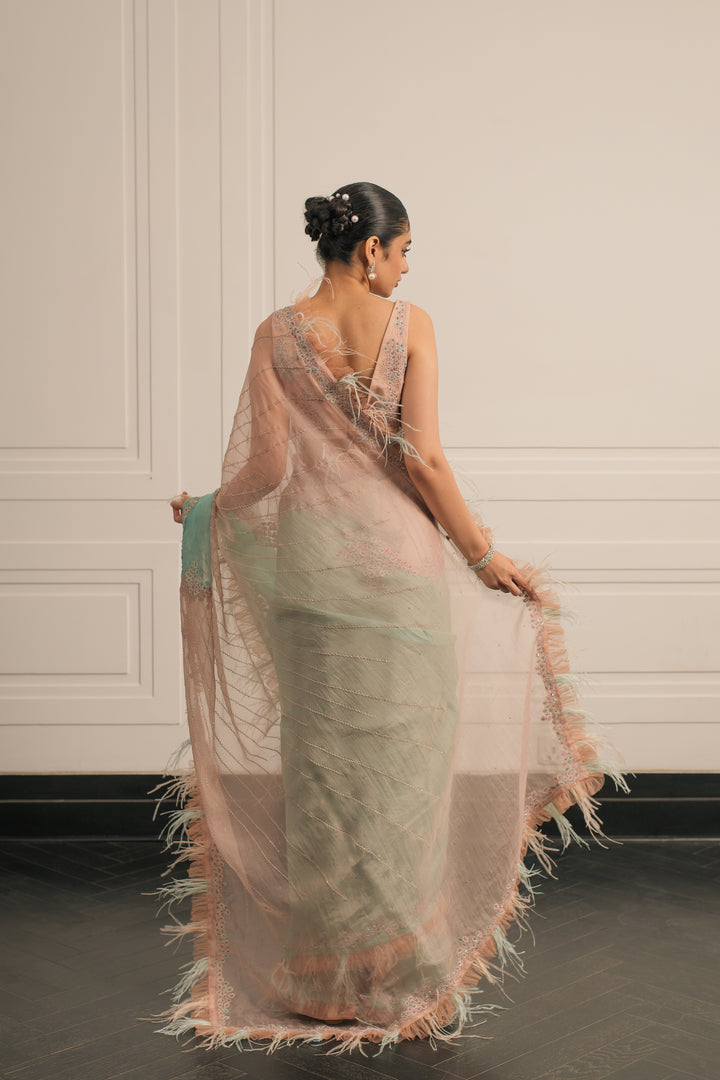 Eleanor saree and blouse set