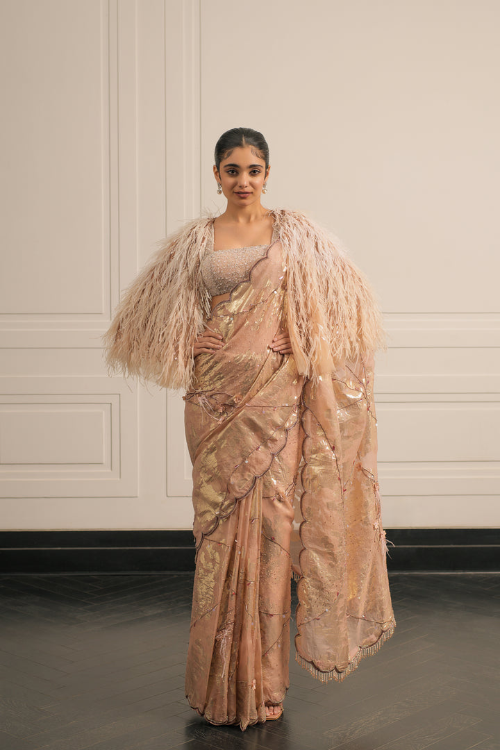 Seraphina  saree and blouse set