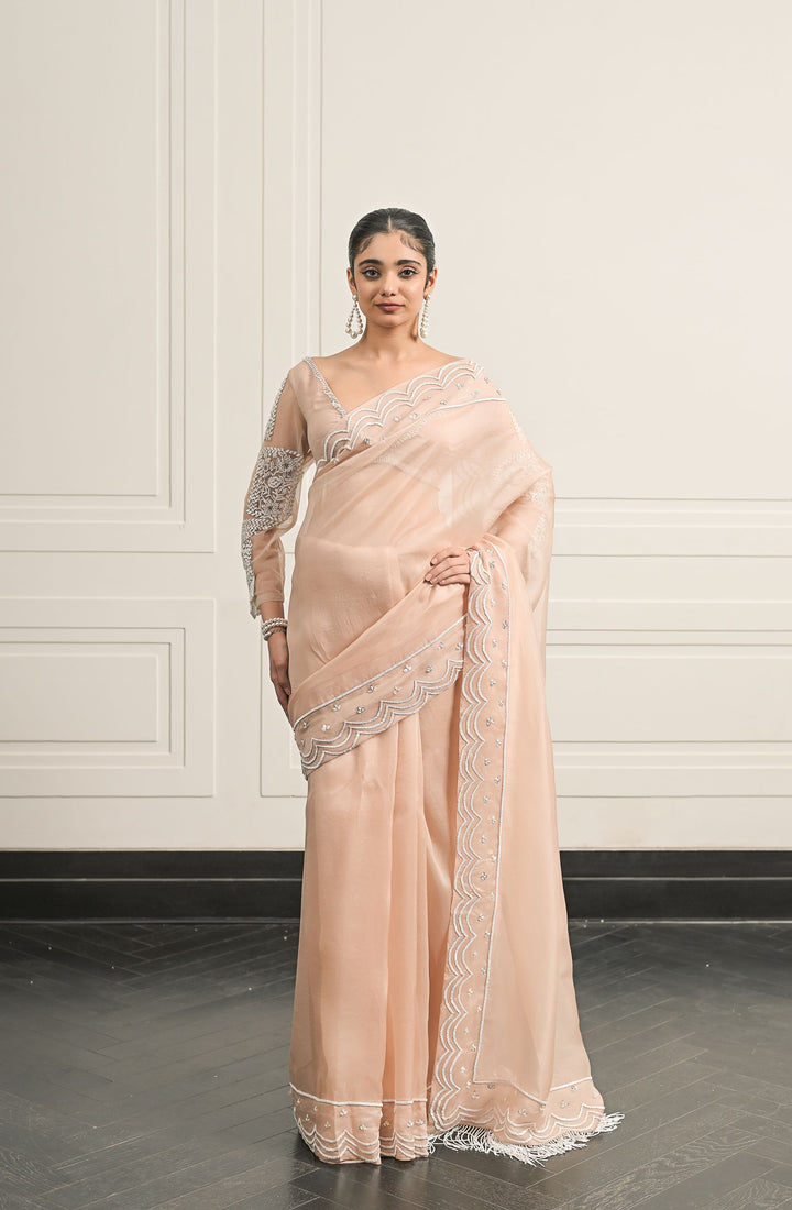 Bela Baag saree and blouse set
