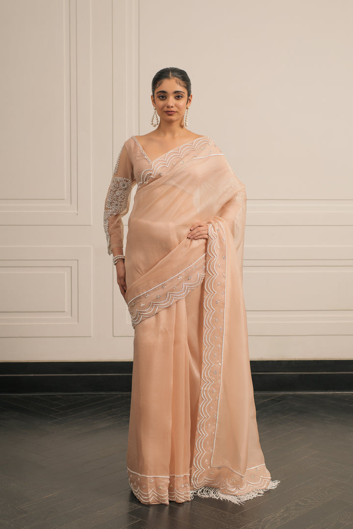 Bela Baag saree and blouse set