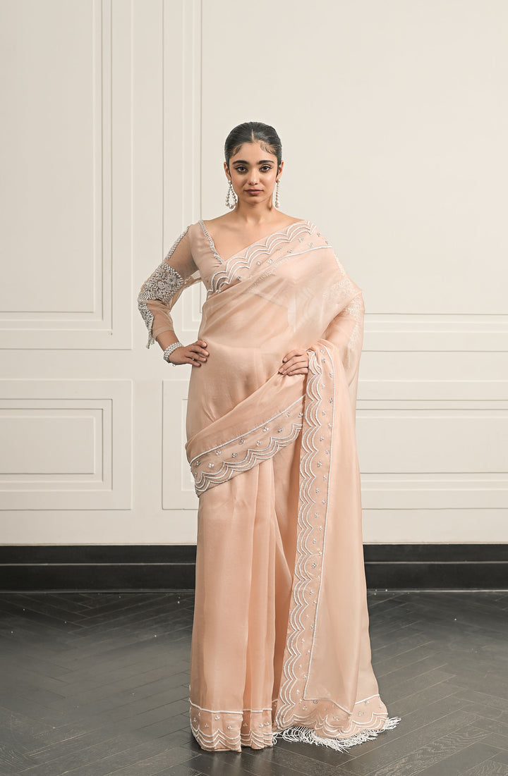 Bela Baag saree and blouse set