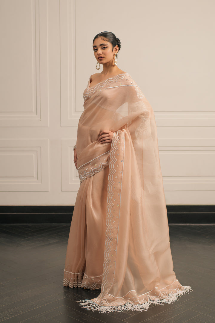 Bela Baag saree and blouse set